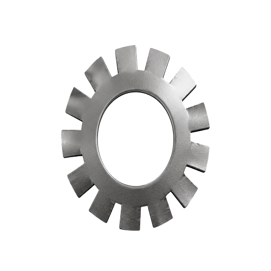 External Tooth Lock Washers