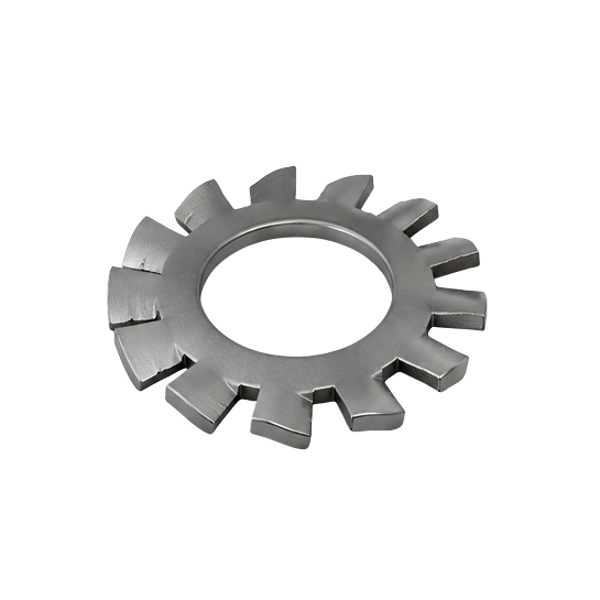 External Tooth Lock Washers