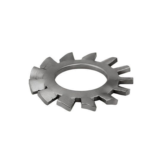 External Tooth Lock Washers
